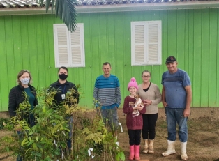 Fundai e Epagri de Içara entregam mudas de árvores em propriedades do município