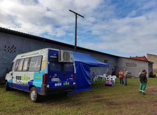 BusCão castra 16 animais no bairro Demboski